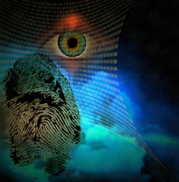 ML Digital ID Basic 24M